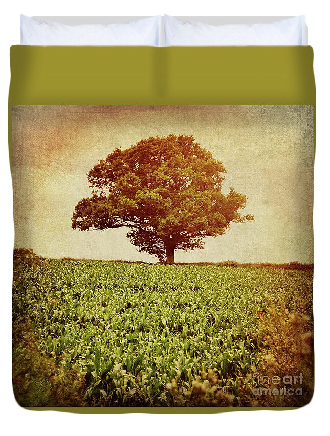 Tree Duvet Cover featuring the photograph Tree on edge of field by Lyn Randle