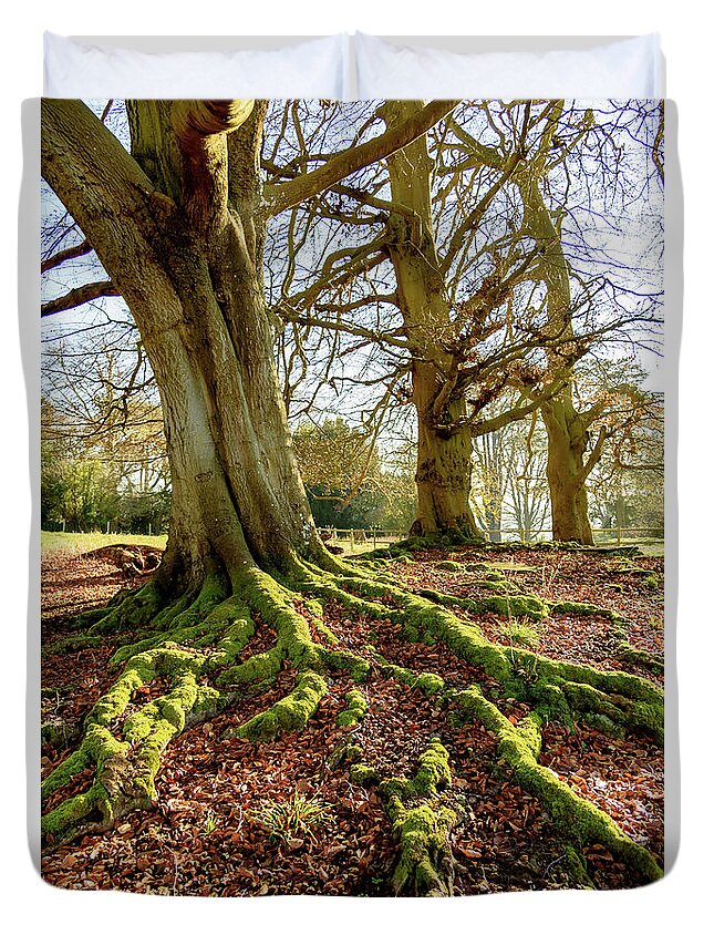 Tyntsfield Duvet Cover featuring the photograph Tree roots and moss by Colin Rayner