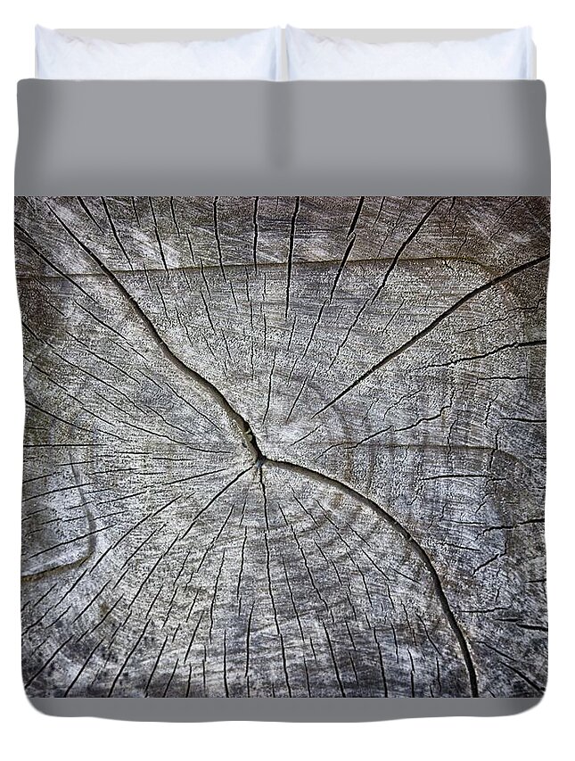 Trunk Duvet Cover featuring the photograph Tree Textures by Martin Newman