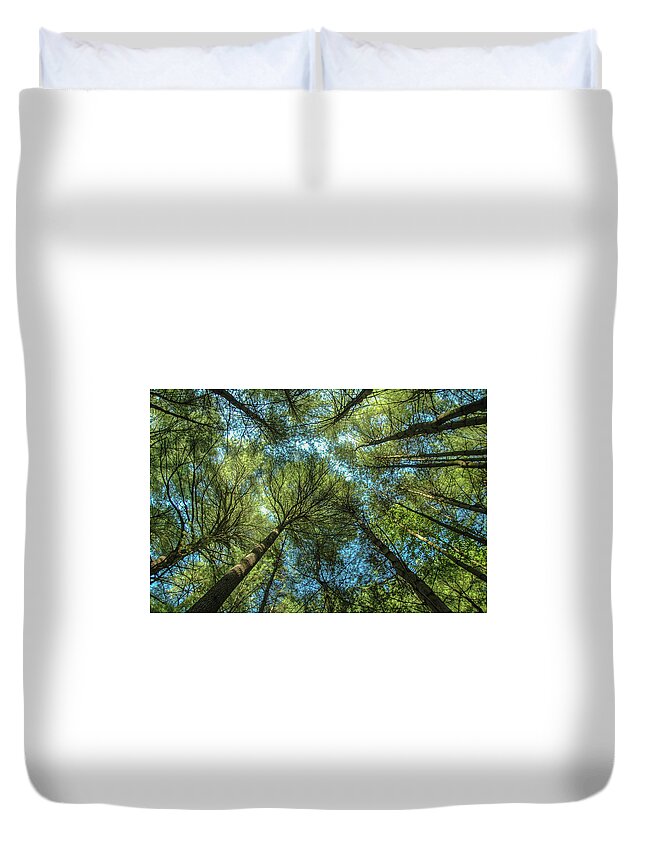 Forest Duvet Cover featuring the photograph Tree Tops by Cathy Kovarik