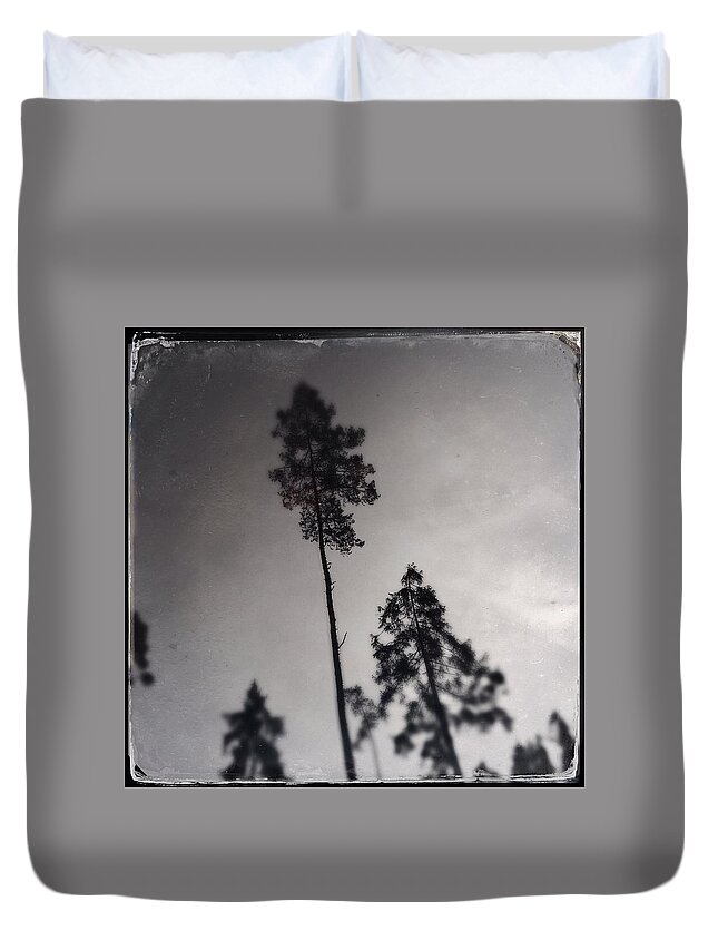 Designs Similar to Trees black and white wetplate