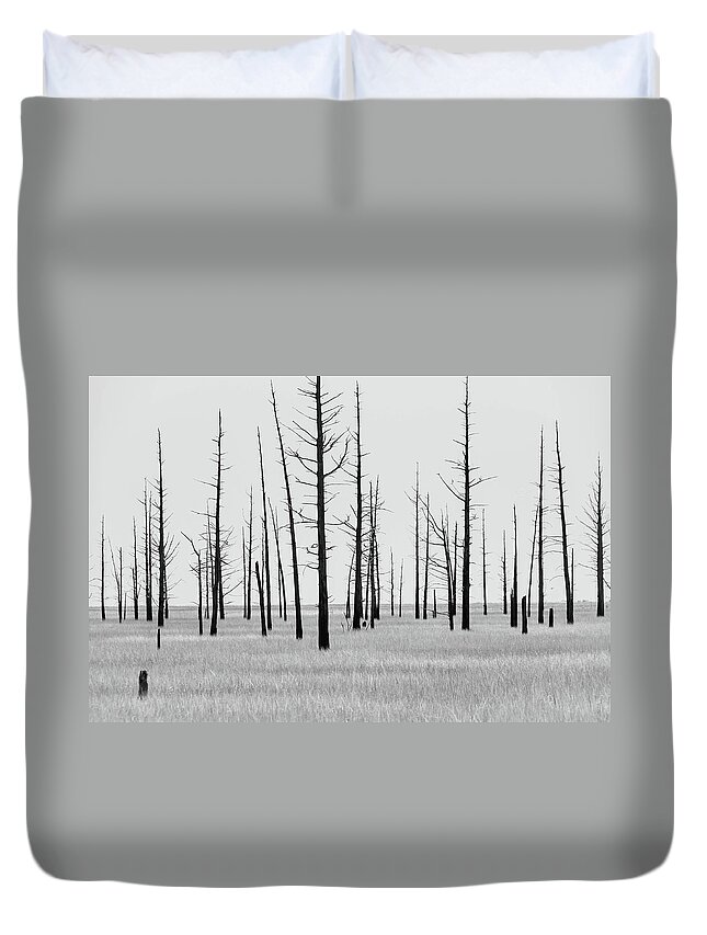 Landscape Duvet Cover featuring the photograph Trees Die off by Louis Dallara