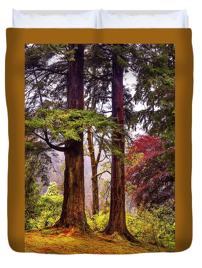 Jenny Rainbow Fine Art Photography Duvet Cover featuring the photograph Trees in Autumn Glory. Scotland by Jenny Rainbow