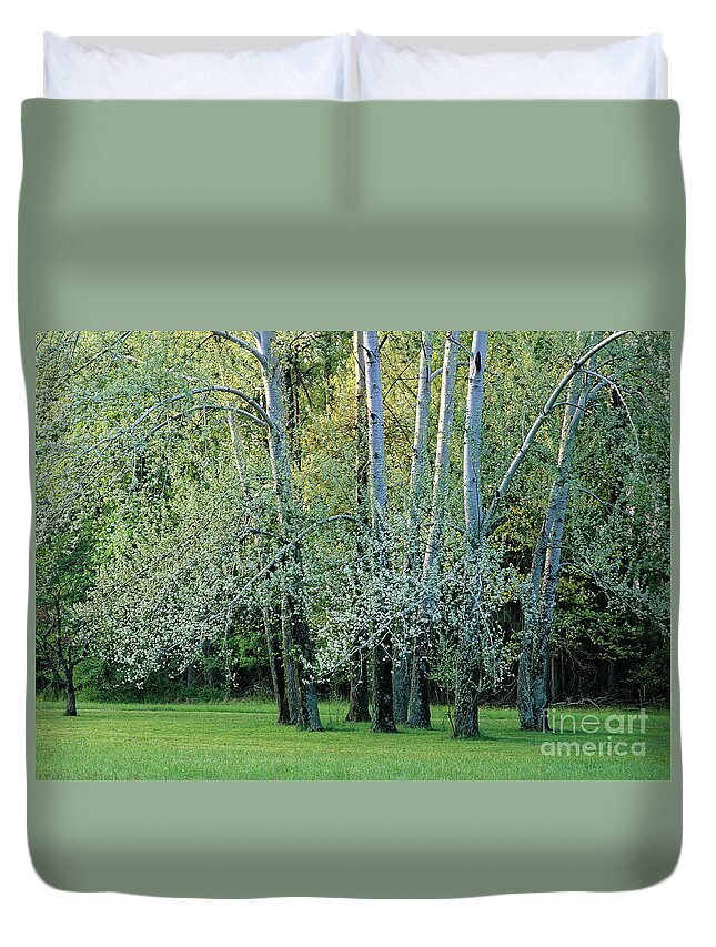 Tree Duvet Cover featuring the photograph Trees in Spring by Kevin Shields
