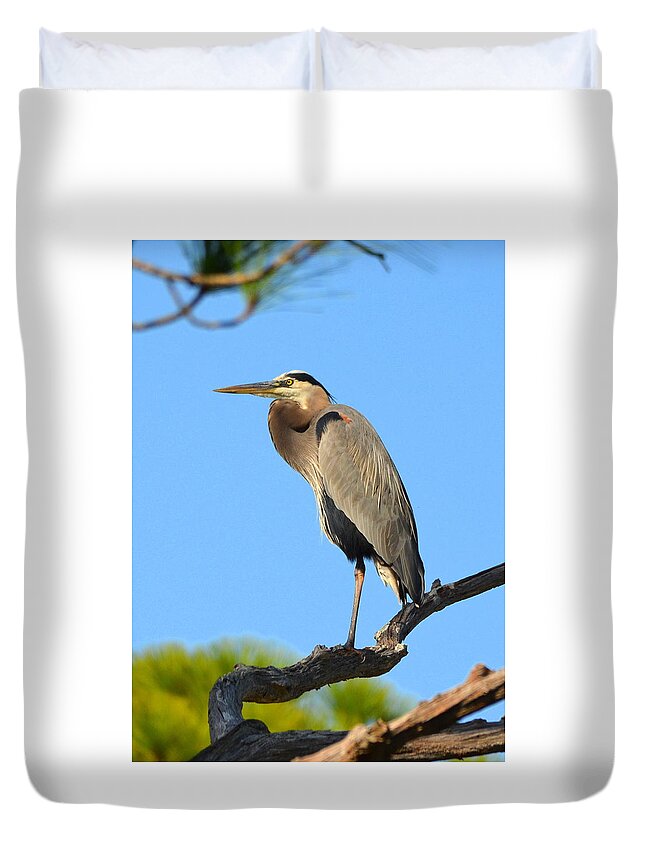 Great Blue Heron Duvet Cover featuring the photograph Treetop Great Blue Heron by Carla Parris