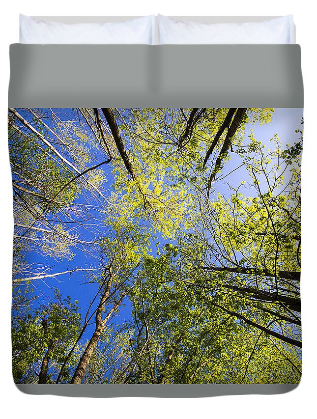 Trees Duvet Cover featuring the photograph Treetops by Tyler Adams