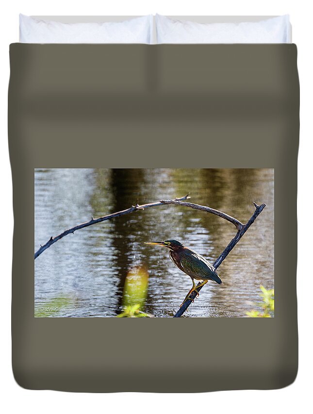 Heron Duvet Cover featuring the photograph Green Heron by Les Greenwood