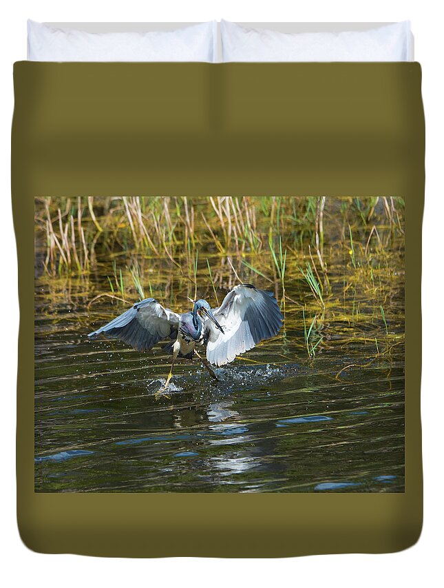 Tri-colored Heron Duvet Cover featuring the photograph Tricolored Heron Dinner and Dancing by Artful Imagery