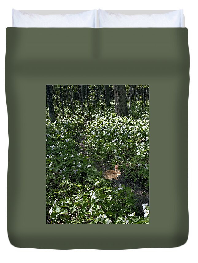 Trillium Woods Duvet Cover featuring the photograph Trillium Woods No. 3 by Kris Rasmusson