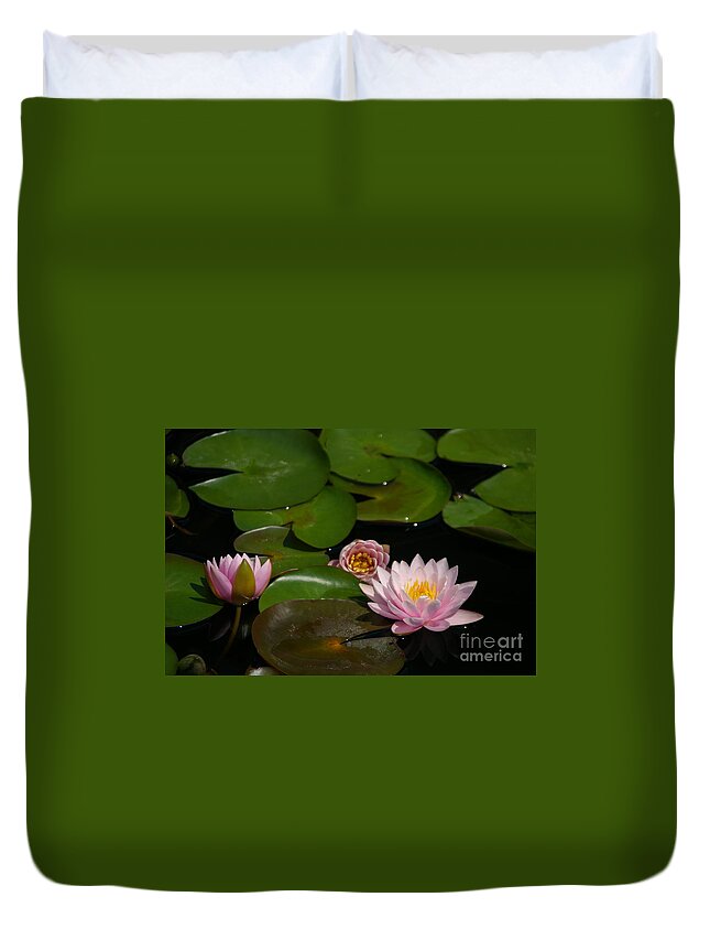 Trio Duvet Cover featuring the photograph Trio of Pink Lotus Waterlilies by Jackie Irwin
