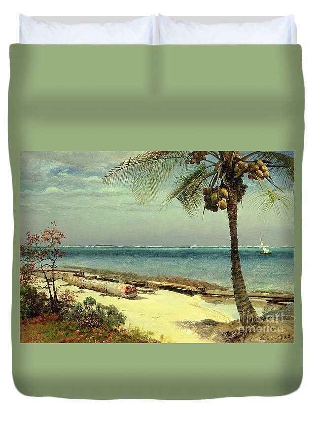 Shore; Exotic; Palm Tree; Coconut; Sand; Beach; Sailing Duvet Cover featuring the painting Tropical Coast by Albert Bierstadt