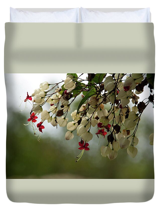 Tropical Duvet Cover featuring the photograph Tropical flowers with Soft Bokeh by Cascade Colors