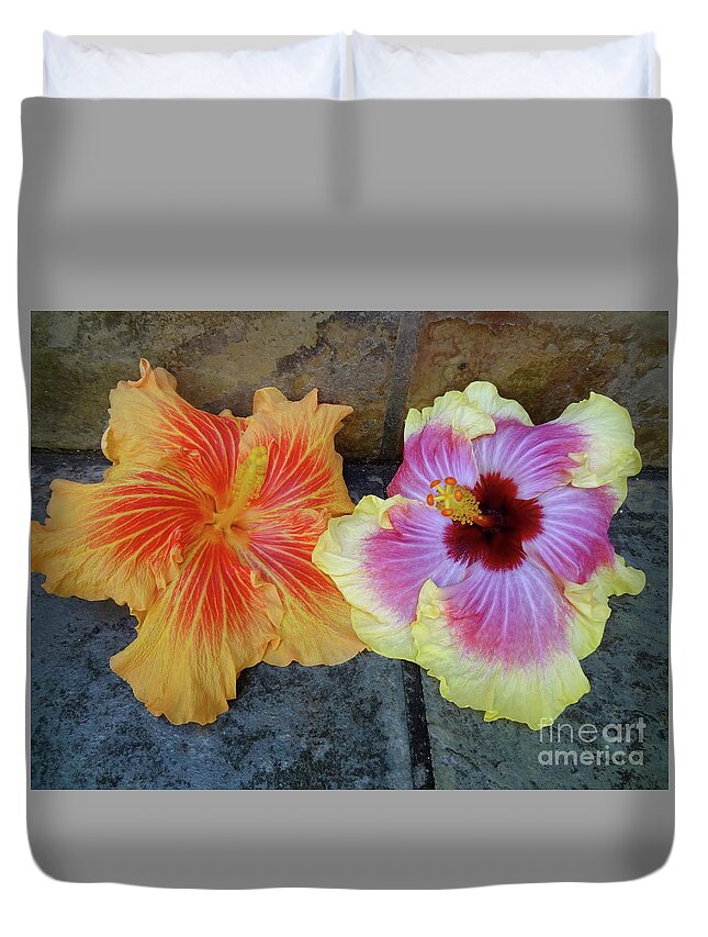 Hibiscus Duvet Cover featuring the photograph Tropical Pair by Jenny Lee