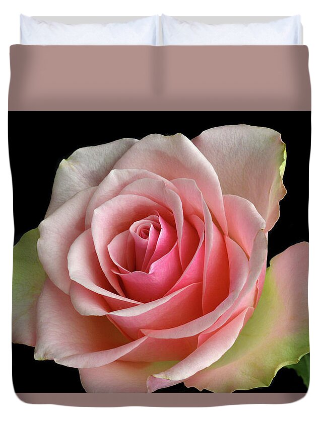 Rose Duvet Cover featuring the photograph True Colours. by Terence Davis