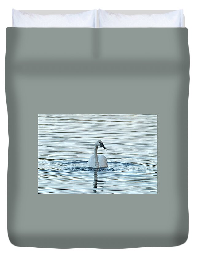 Swan Duvet Cover featuring the photograph Trumpeter Swan 9673 by Michael Peychich
