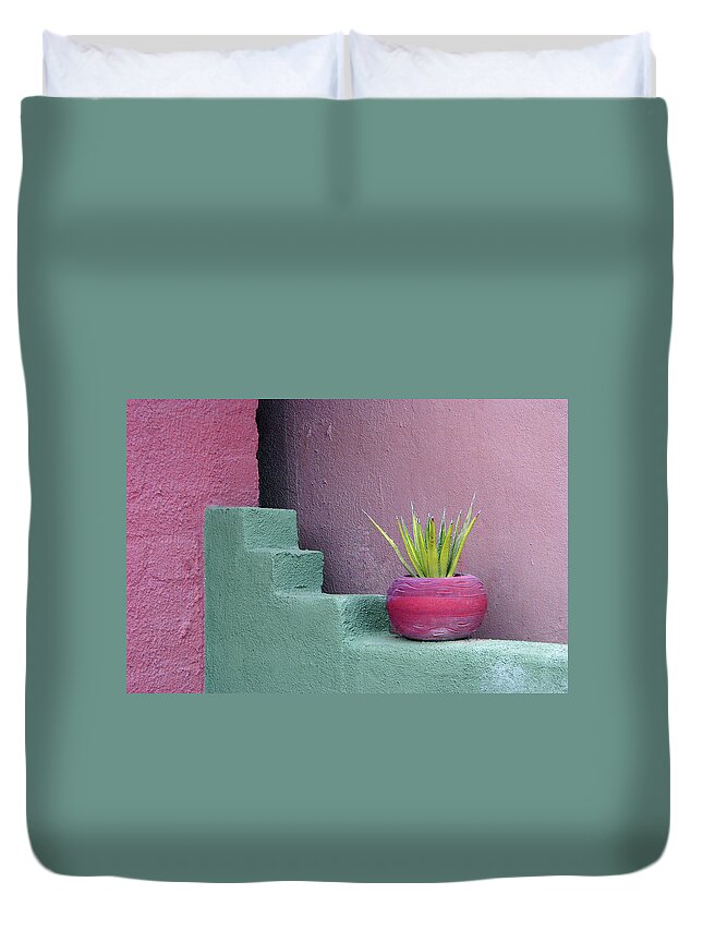 Design Duvet Cover featuring the photograph Tubac Pot and Cactus by Jerry Griffin