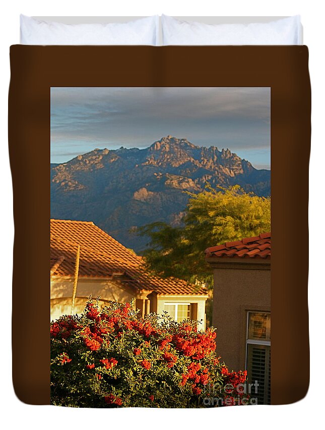 Mountains Duvet Cover featuring the photograph Tucson Beauty by Nadine Rippelmeyer
