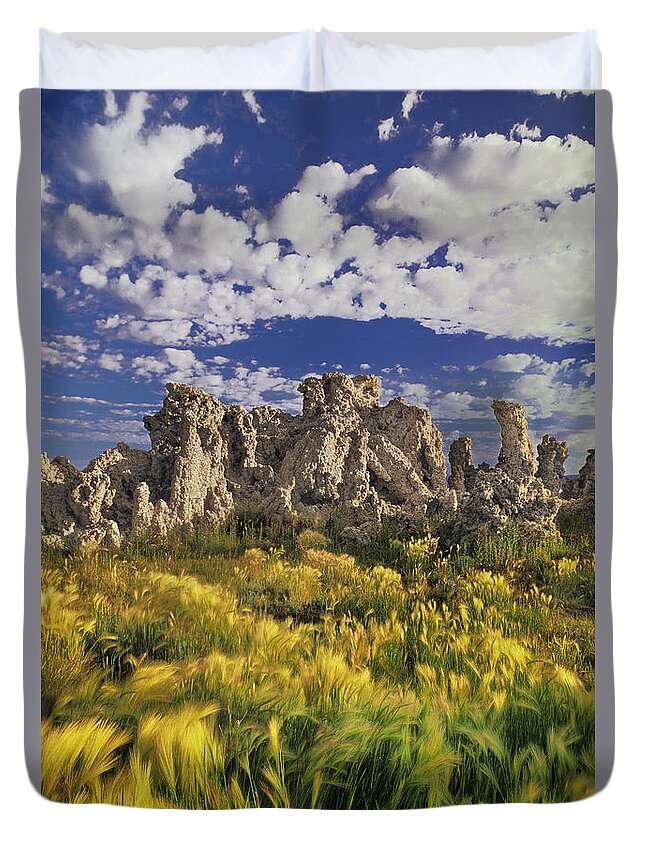 Dave Welling Duvet Cover featuring the photograph Tufas And Wild Grasses Mono Lake State Park California by Dave Welling