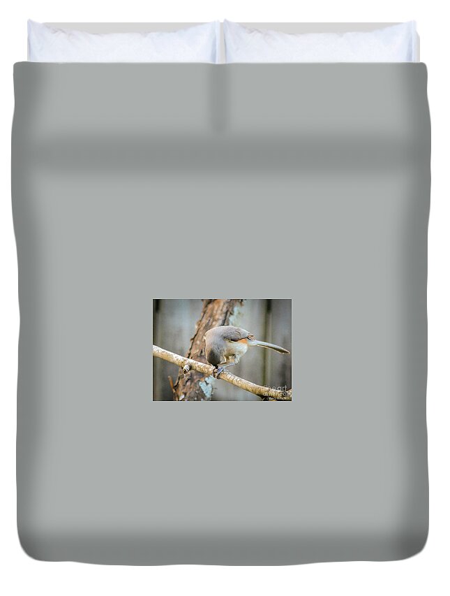 Nature Duvet Cover featuring the photograph Tufted Titmouse at work by Barry Bohn