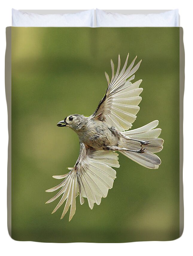 Bird Duvet Cover featuring the photograph Tufted Titmouse In Flight by Alan Lenk