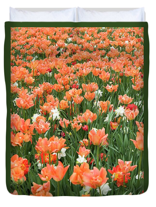 Tulip Beds At Governor S Park At Dow S Lake Ottawa 2 Duvet Cover