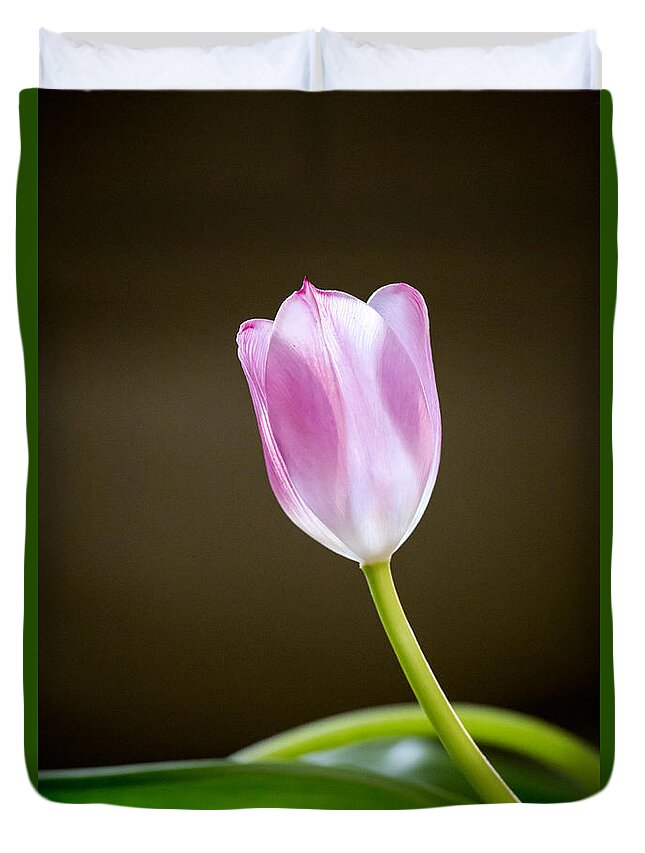 Tulip Duvet Cover featuring the photograph Tulip by Charles Hite
