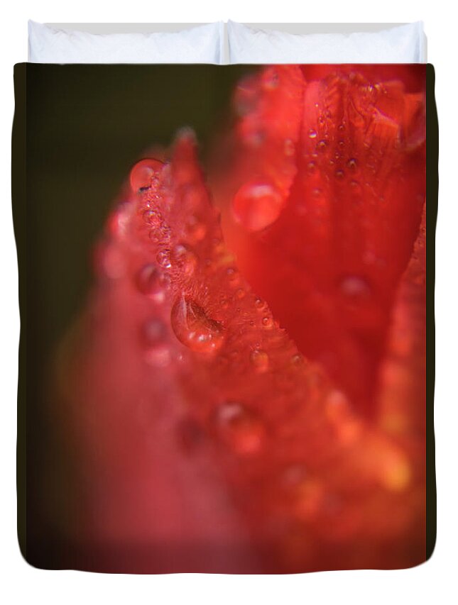 Tulip Duvet Cover featuring the photograph Tulip-droplets-1843 by Steve Somerville