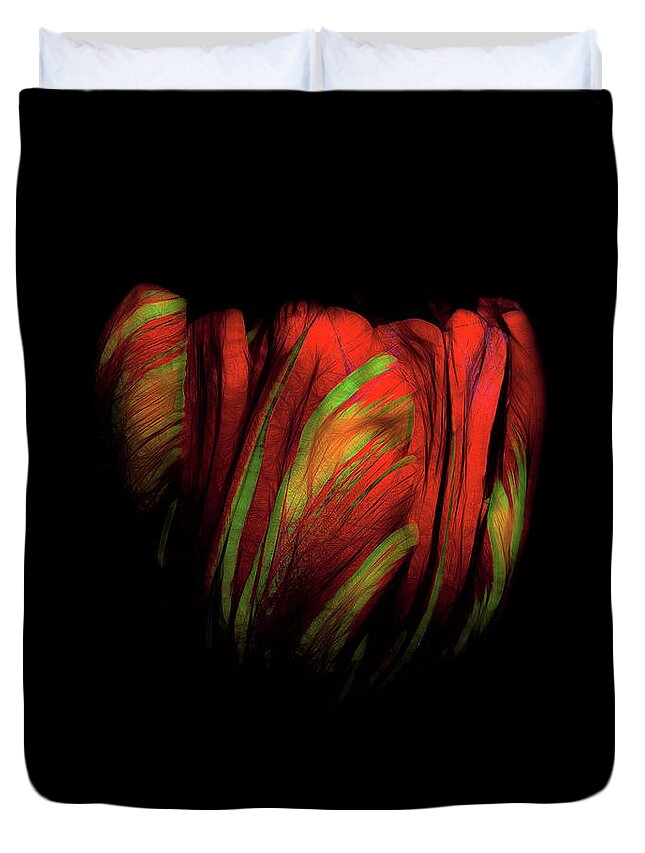 Tulip Duvet Cover featuring the photograph Tulip Flower on Black Background Abstract by David Gn