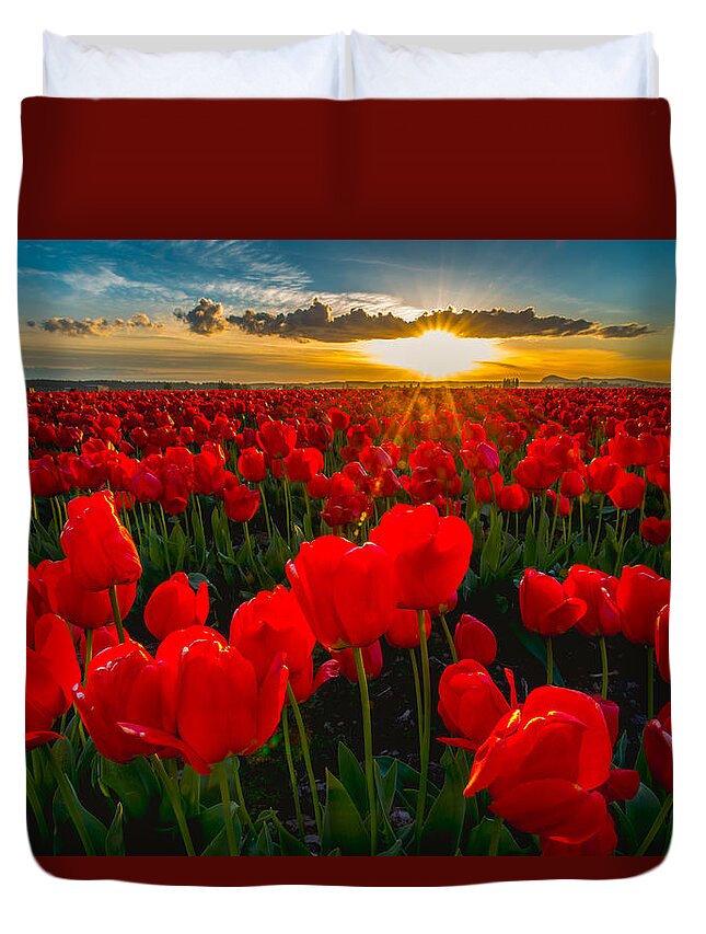 Tulip Duvet Cover featuring the photograph Tulip in Sunset by Hisao Mogi