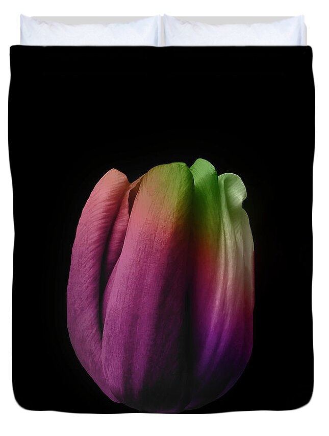 Tulip Duvet Cover featuring the photograph Tulip In The Shadows 3 by Johanna Hurmerinta