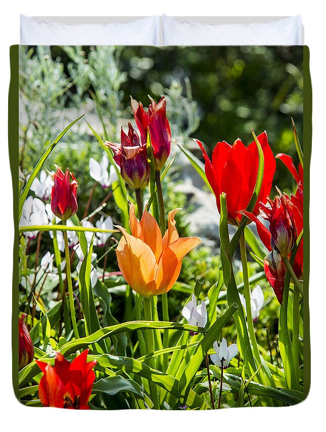 Spring Duvet Cover featuring the photograph Tulip - The orange one by Arik Baltinester