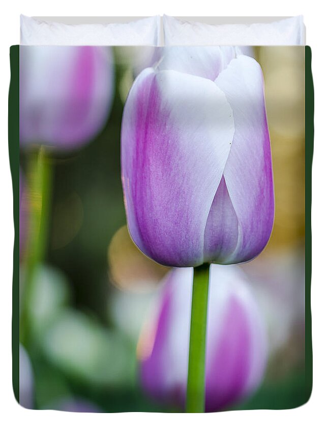 Abundance Duvet Cover featuring the photograph Tulips in Pink and White by Teri Virbickis