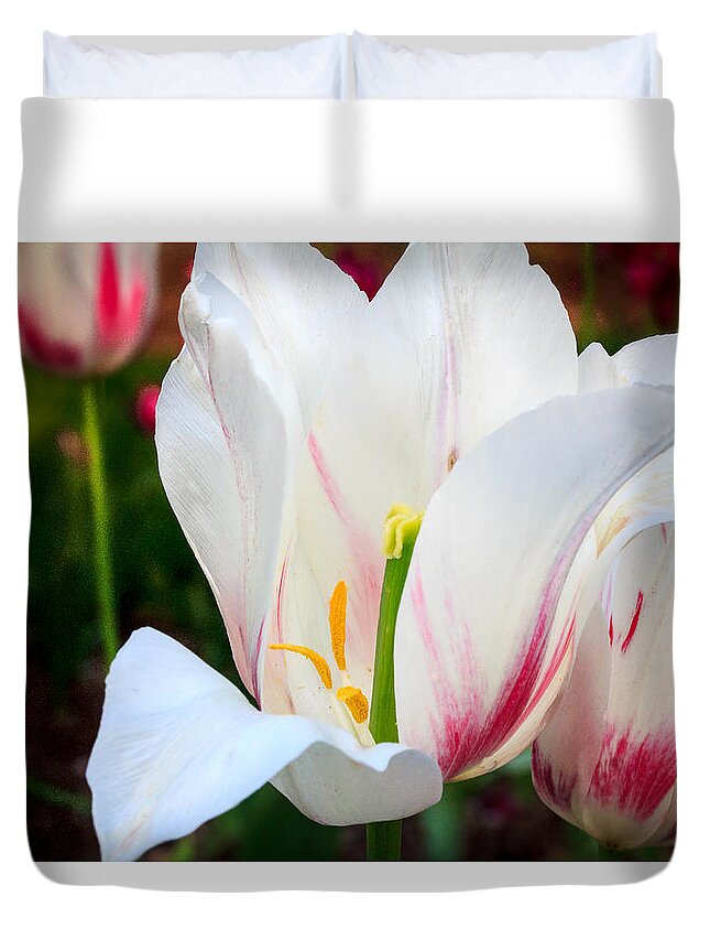 Illinois Duvet Cover featuring the photograph Tulips in Spring by Joni Eskridge