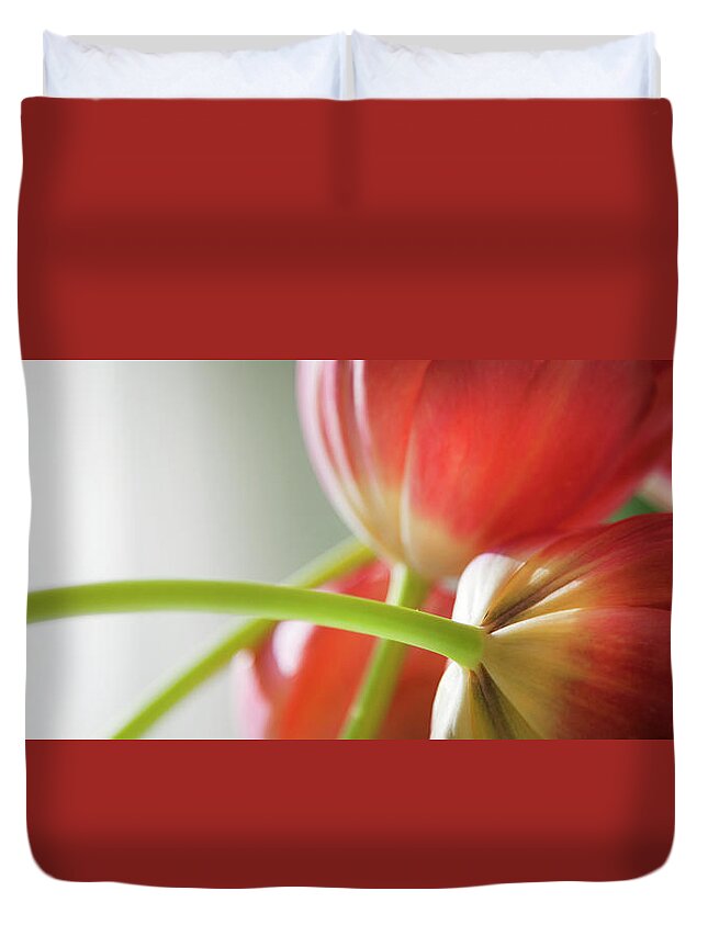 Floral Duvet Cover featuring the photograph Tulips In The Morning by Theresa Tahara