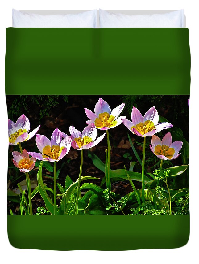 Tulips Duvet Cover featuring the photograph Tulips Meadow Garden by Janis Senungetuk