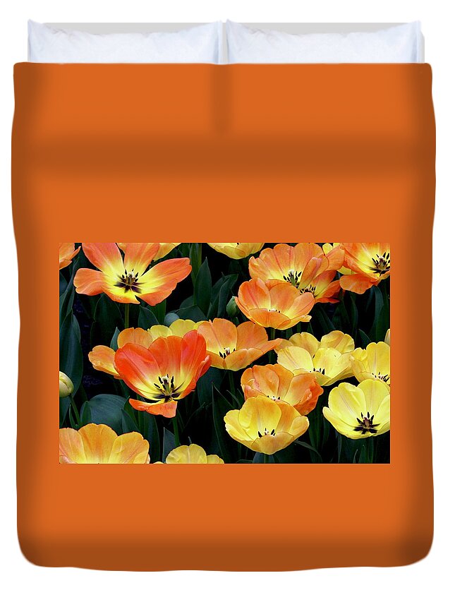 Flower Duvet Cover featuring the photograph Tulips by Sarah Lilja