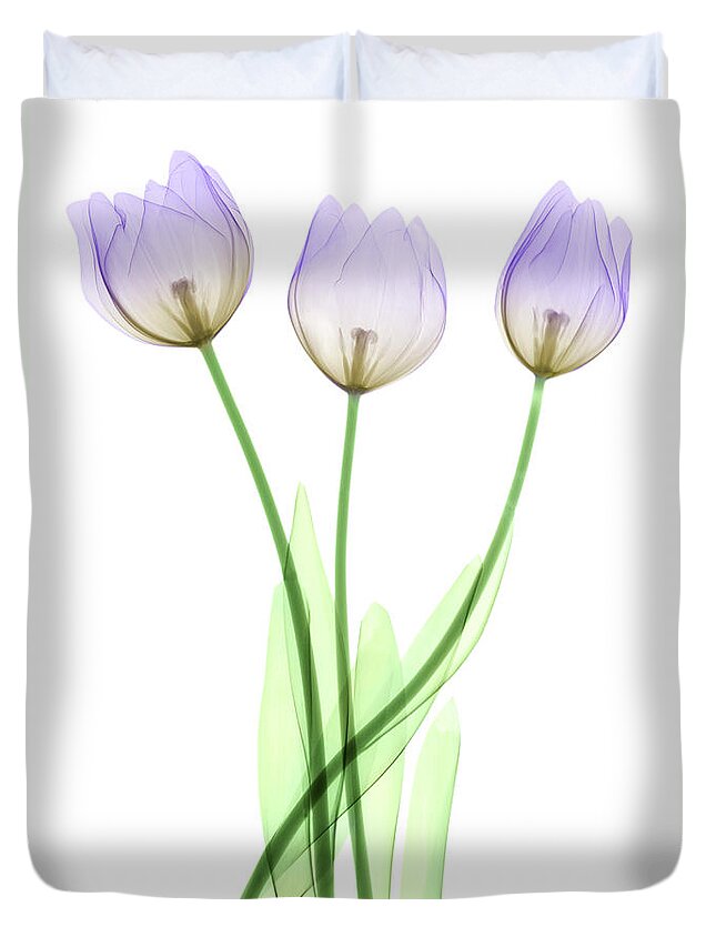 Tulip Duvet Cover featuring the photograph Tulips, X-ray by Ted Kinsman