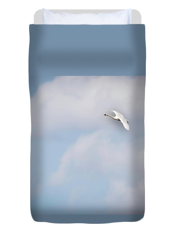 Tundra Swan (cygnus Columbianus) Duvet Cover featuring the photograph Tundra Swan 2015-8 by Thomas Young