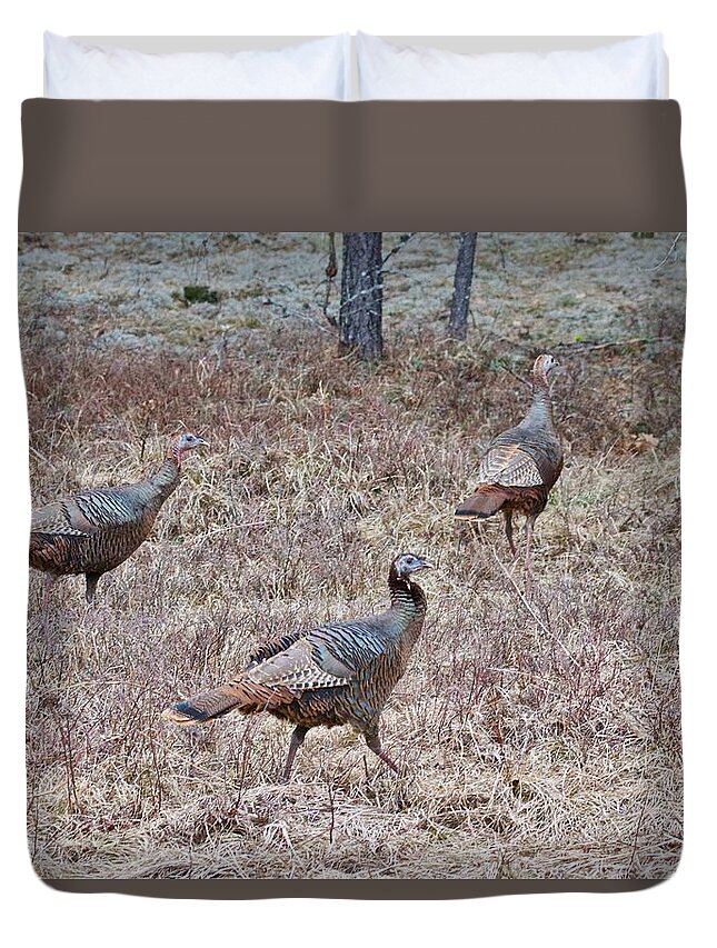 Meleagris Gallopavo Duvet Cover featuring the photograph Turkey Trio 1153 by Michael Peychich