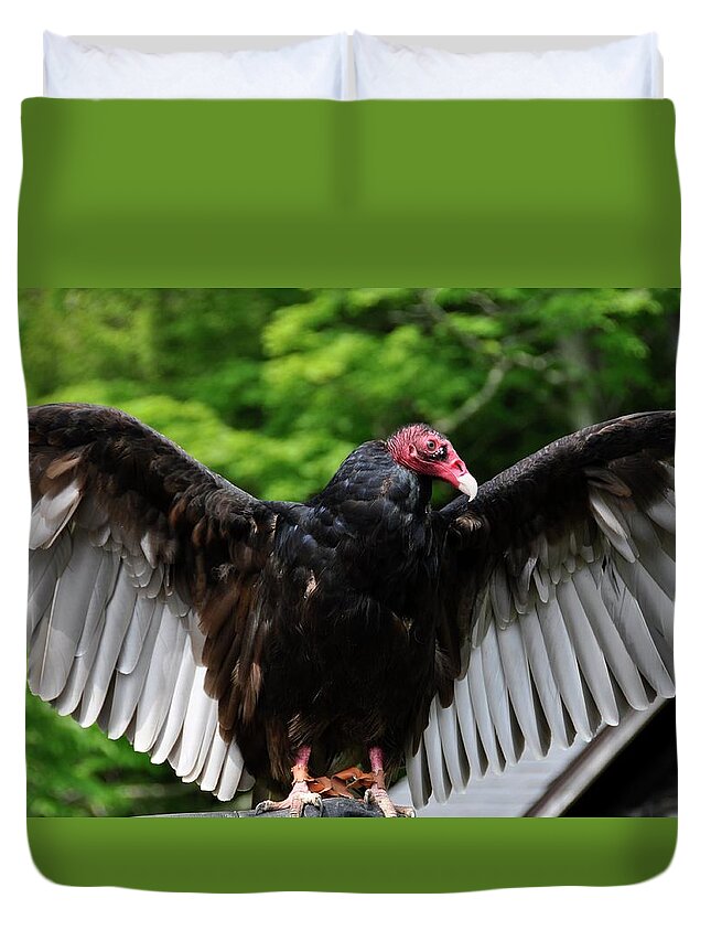 Turkey Vulture Duvet Cover featuring the photograph Turkey Vulture by Cornelia DeDona