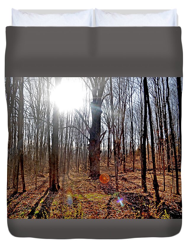Trees Duvet Cover featuring the photograph Turn Back Time by Donna Petersen