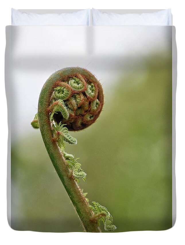 Fern Duvet Cover featuring the photograph Turning Out by Kuni Photography