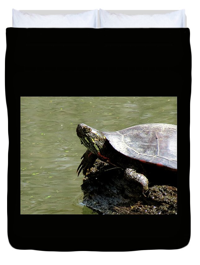 Nature Duvet Cover featuring the photograph Turtle Bask by Azthet Photography
