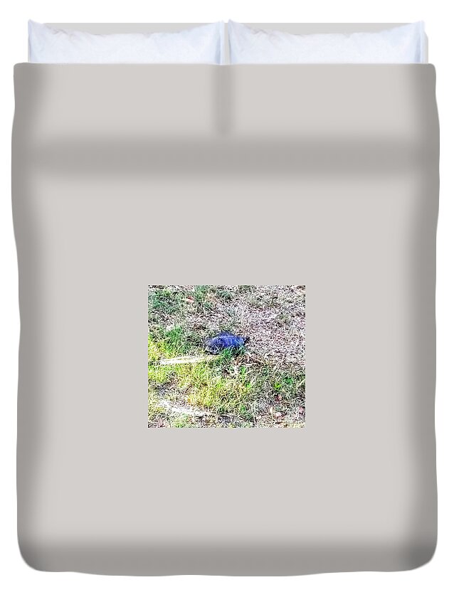 Turtle Duvet Cover featuring the photograph Turtle Crossing by Suzanne Berthier