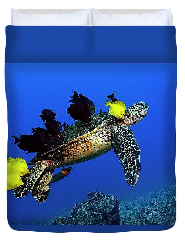 Hawaii Duvet Cover featuring the photograph Turtle grooming by Artesub