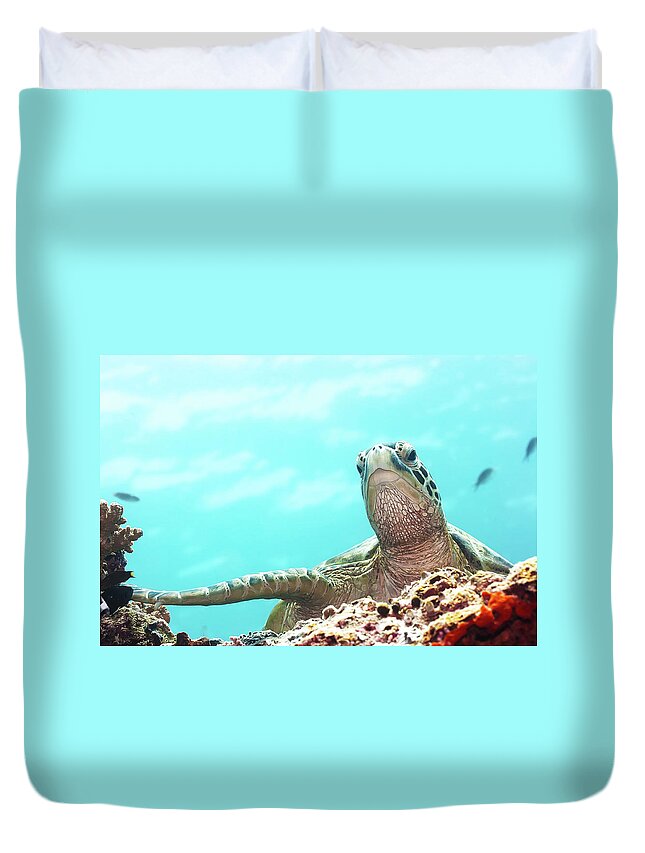 Tropical Duvet Cover featuring the photograph Turtle by MotHaiBaPhoto Prints