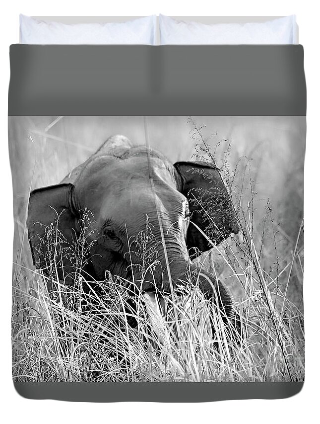 Black And White Duvet Cover featuring the photograph Tusker in the grass by Pravine Chester