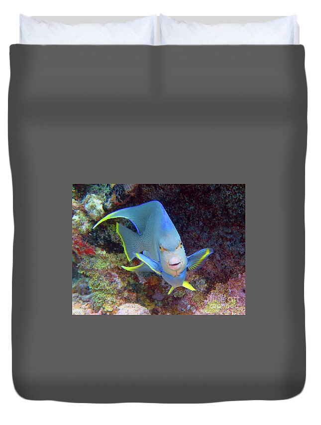 Underwater Duvet Cover featuring the photograph Tweety Bird by Daryl Duda
