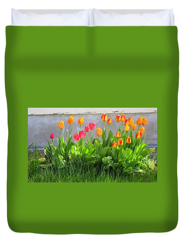 Twenty-five Tulips Duvet Cover featuring the photograph Twenty-Five Tulips by Suzanne DeGeorge