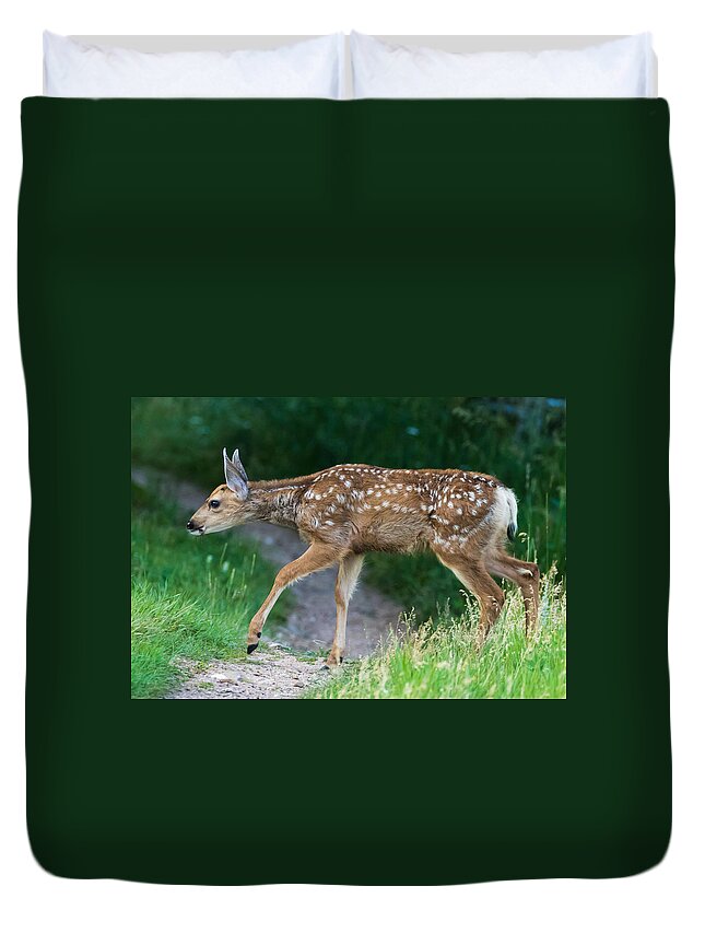 Mule Deer Fawn Duvet Cover featuring the photograph Twilight Fawn #4 by Mindy Musick King